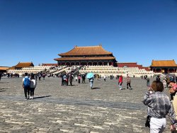 IMG_3236.jpg