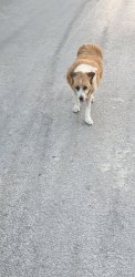 20190803_201024.jpg