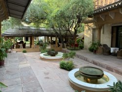 IMG_8231.JPG