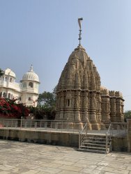 IMG_8881.JPG