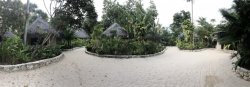 IMG_7569.JPG