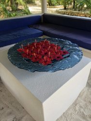 IMG_7599.JPG