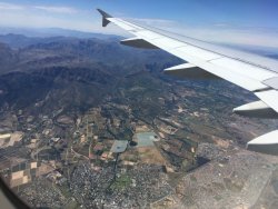 C6E0B774-886C-4CE6-96D4-590510DE8155.jpeg