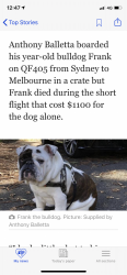 50B09306-F80C-4E5D-9CF4-F76D6AE41503.png