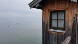 20191116_130136.jpg