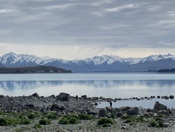 2AA7F24F-8217-4CA1-A7D5-9B5358B0E15C.jpeg