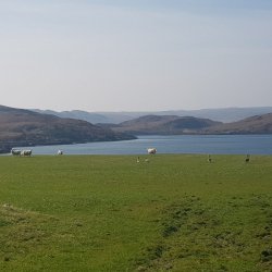 2019-04-19 13.43.42.jpg