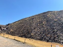 IMG_0574.jpg