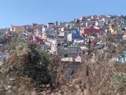 IMG_0628.jpg