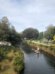 IMG_2113.jpg