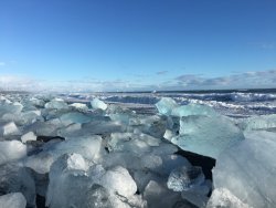 IMG_6916.JPG