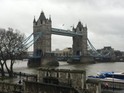 IMG_6999.JPG