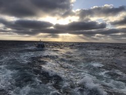 B36604C6-6755-4B07-80E8-78058E990DD1.jpeg