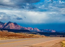 Road Trip to Zion Valley (25 of 35).jpg