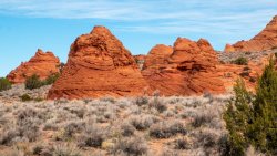 White Pocket Arizona (2 of 248).jpg