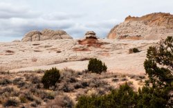 White Pocket Arizona (15 of 248).jpg