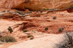 White Pocket Arizona (19 of 248).jpg