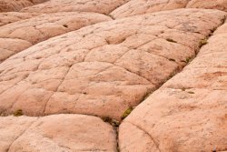 White Pocket Arizona (37 of 248).jpg