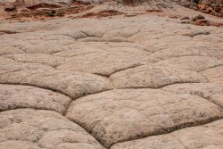 White Pocket Arizona (44 of 248).jpg