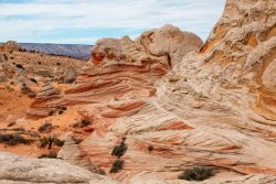White Pocket Arizona (196 of 248).jpg
