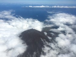 D702B21B-32DE-4453-BD0C-0370CEAC36CB.jpeg