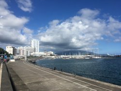 301F2D09-D20E-4AB4-8701-F328D222CCC0.jpeg