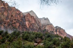 Zion National Park Utah (2 of 118).jpg