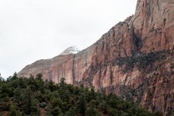 Zion National Park Utah (14 of 118).jpg