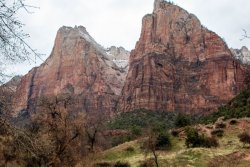 Zion National Park Utah (19 of 118).jpg