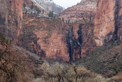Zion National Park Utah (26 of 118).jpg