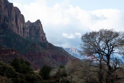 Zion National Park Utah (50 of 118).jpg