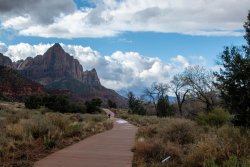 Zion National Park Utah (59 of 118).jpg