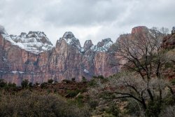 Zion National Park Utah (68 of 118).jpg