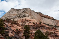 Zion National Park Utah (101 of 118).jpg
