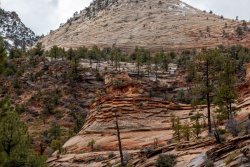 Zion National Park Utah (106 of 118).jpg