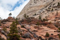 Zion National Park Utah (108 of 118).jpg