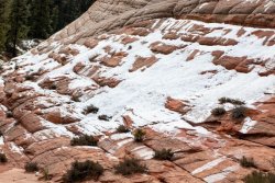 Zion National Park Utah (110 of 118).jpg