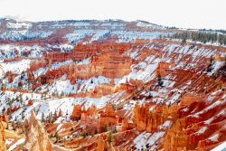 Bryce Canyon Utah (1 of 454).jpg