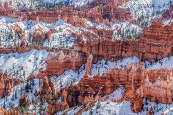 Bryce Canyon Utah (11 of 454).jpg