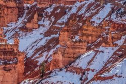Bryce Canyon Utah (15 of 454).jpg
