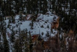 Bryce Canyon Utah (97 of 454).jpg