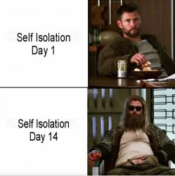 Day 14.jpg