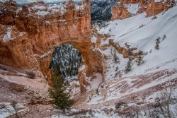 Bryce Canyon Utah (113 of 454).jpg