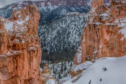 Bryce Canyon Utah (127 of 454).jpg