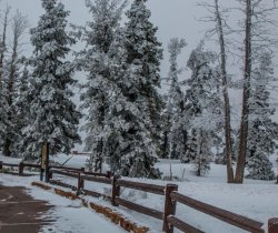 Bryce Canyon Utah (168 of 454).jpg