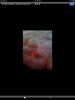 ImageUploadedByAust Freq Fly1310869928.532376.jpg
