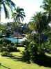 ImageUploadedByAust Freq Fly1311109897.603989.jpg