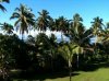 ImageUploadedByAust Freq Fly1311109918.945127.jpg