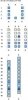 cathay-74a.jpg cathay-74a.jpg