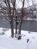 ImageUploadedByAustFreqFly1391918000.422059.jpg